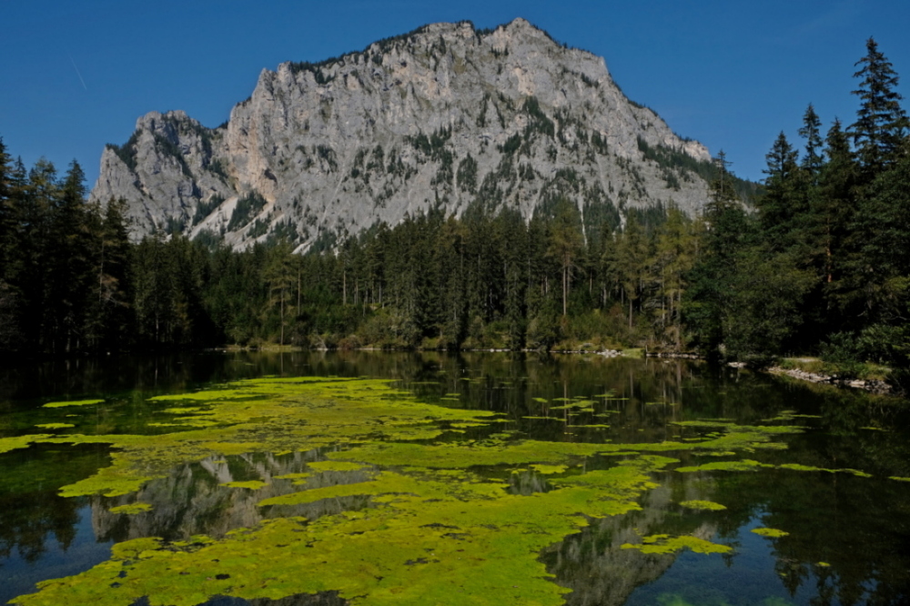 DSCF4555.JPG