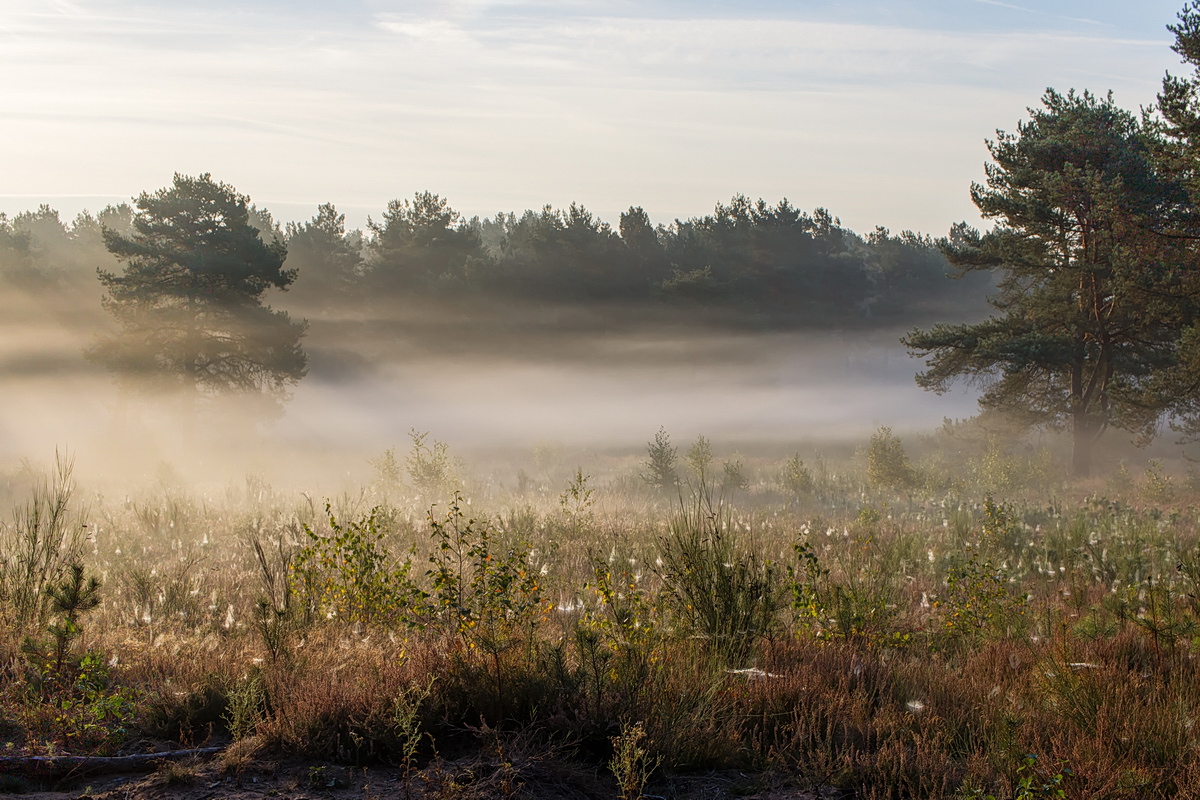 600D34223-HDRAA_1.jpg
