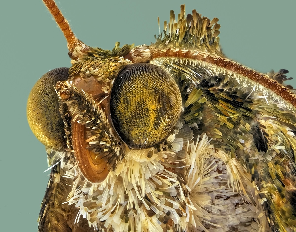 2018-10-08-09.50.26 ZS retouched.jpg