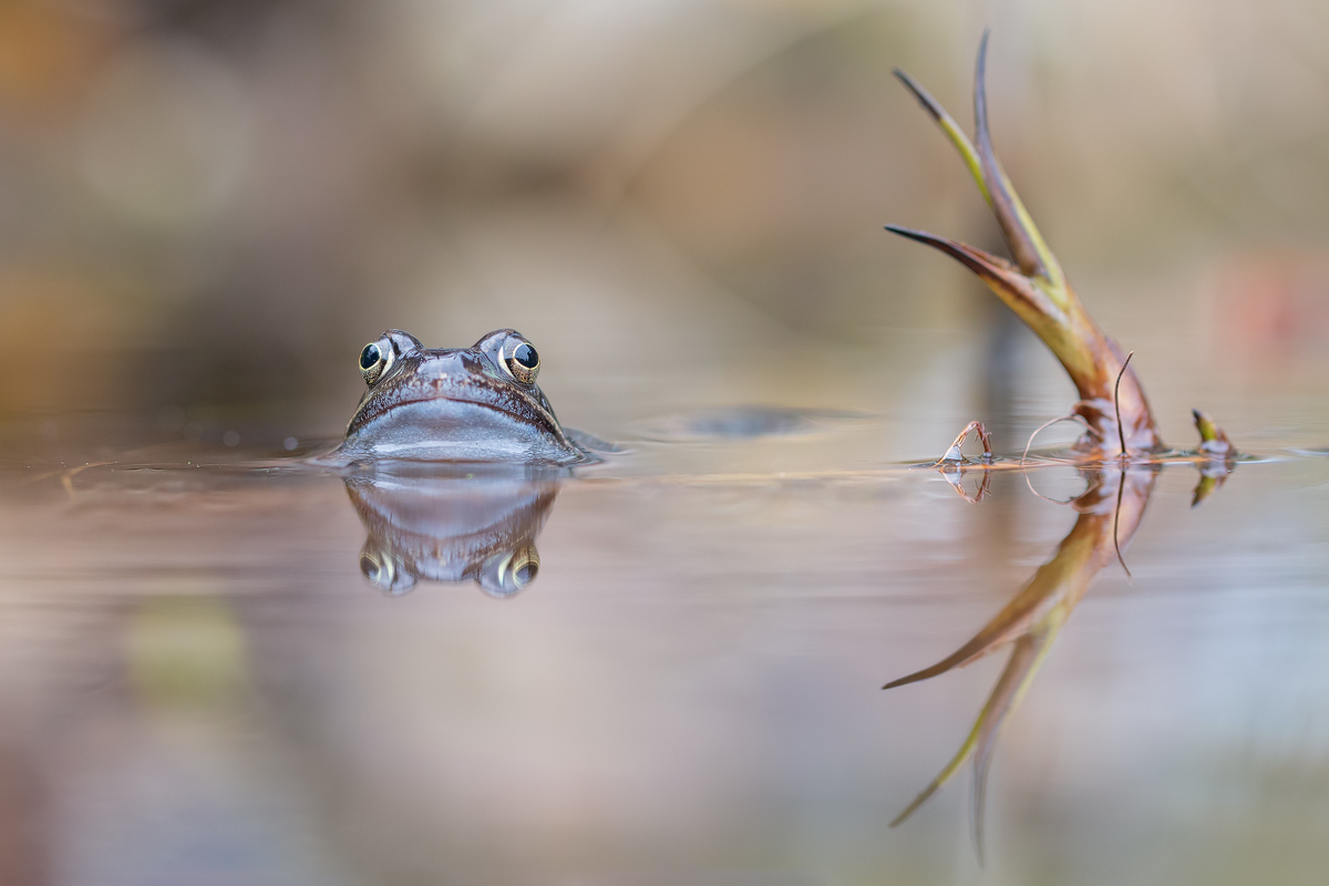 20150309_0087---Kopie.jpg