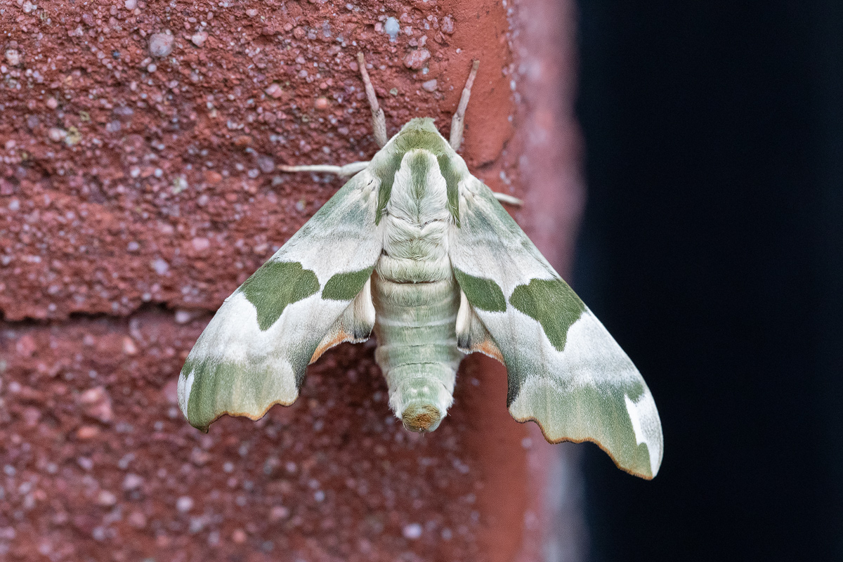 20180430_4---Kopie.jpg