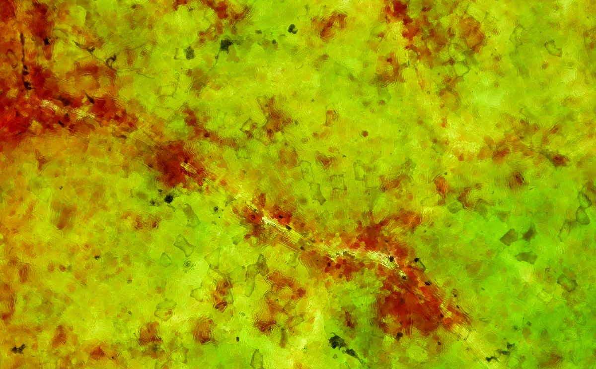 HerbstblattDetails_MF.jpg
