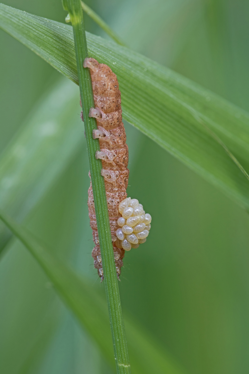 SHARPEN projects_IMG_8959_SHARPEN projects.jpg