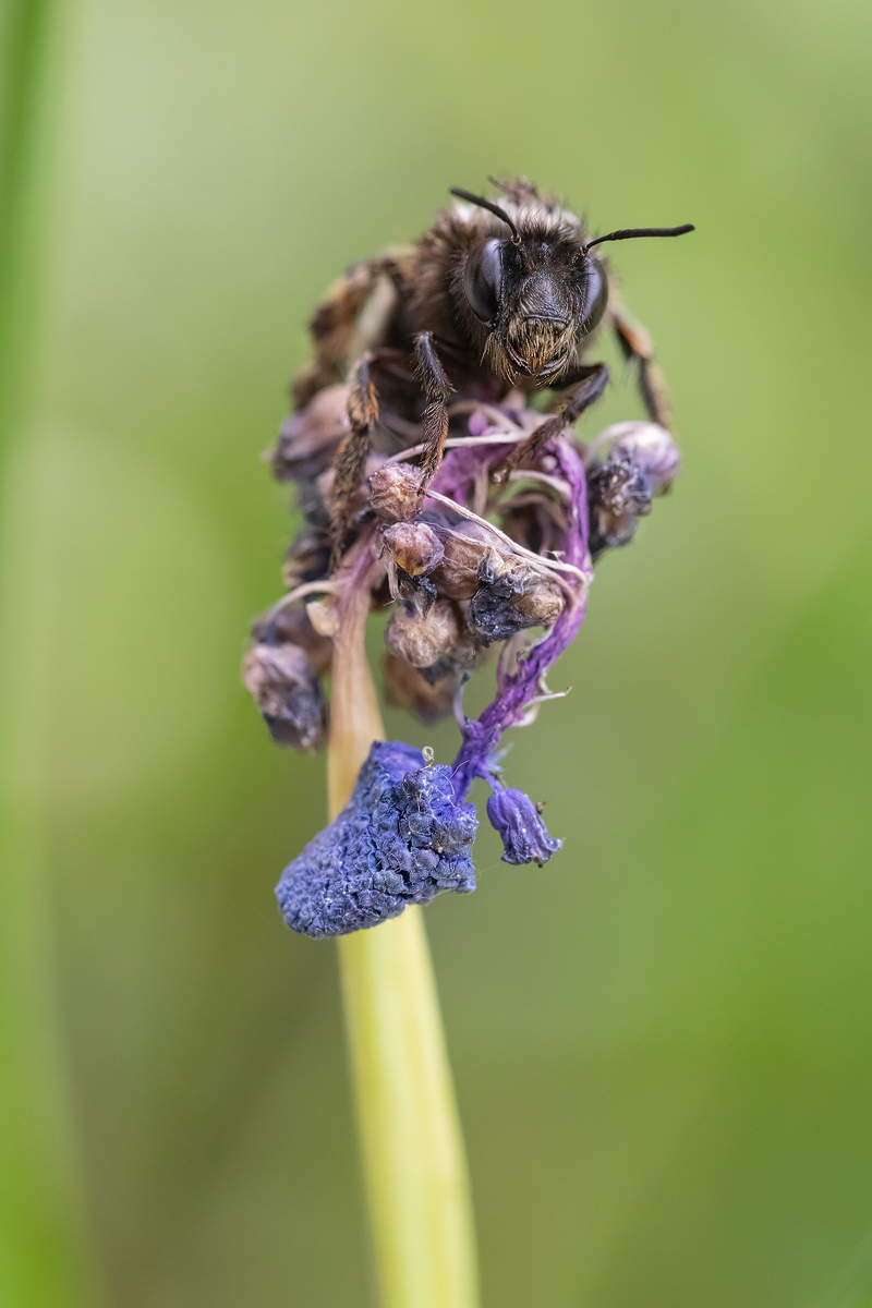 20180429_275---Kopie.jpg