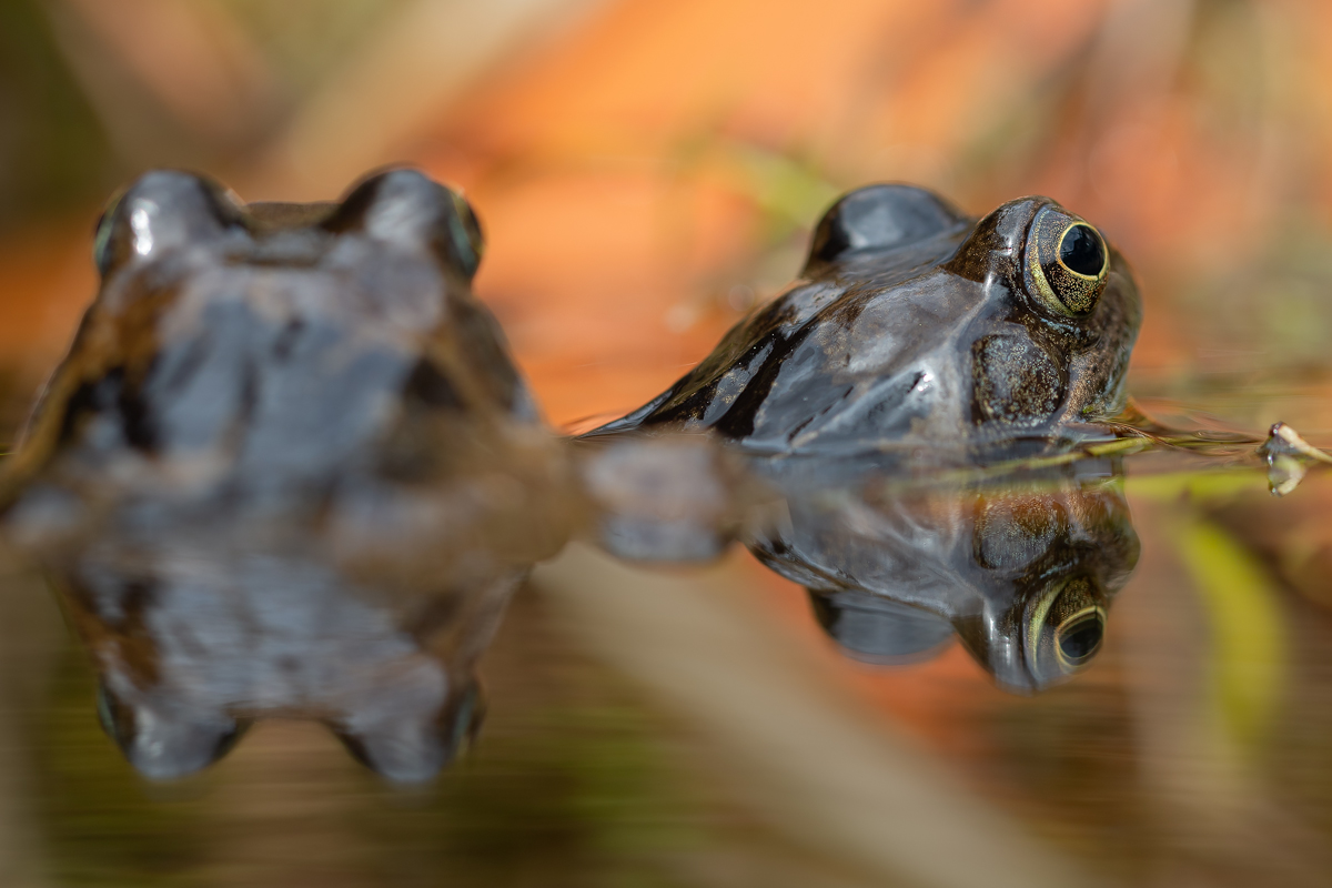 20180408_6---Kopie.jpg