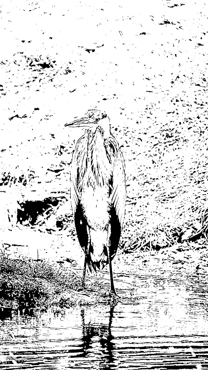 2019_01020020.jpg