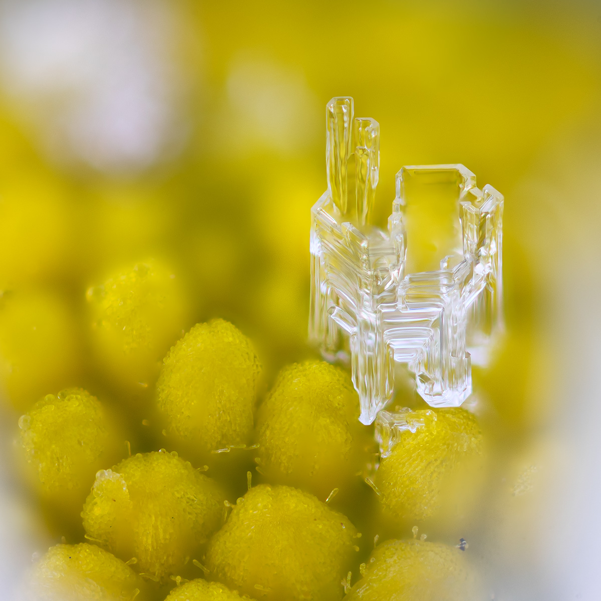 2019-02-18 21-05-44 (B,Radius5,Smoothing6)2245-53.d.kl.jpg