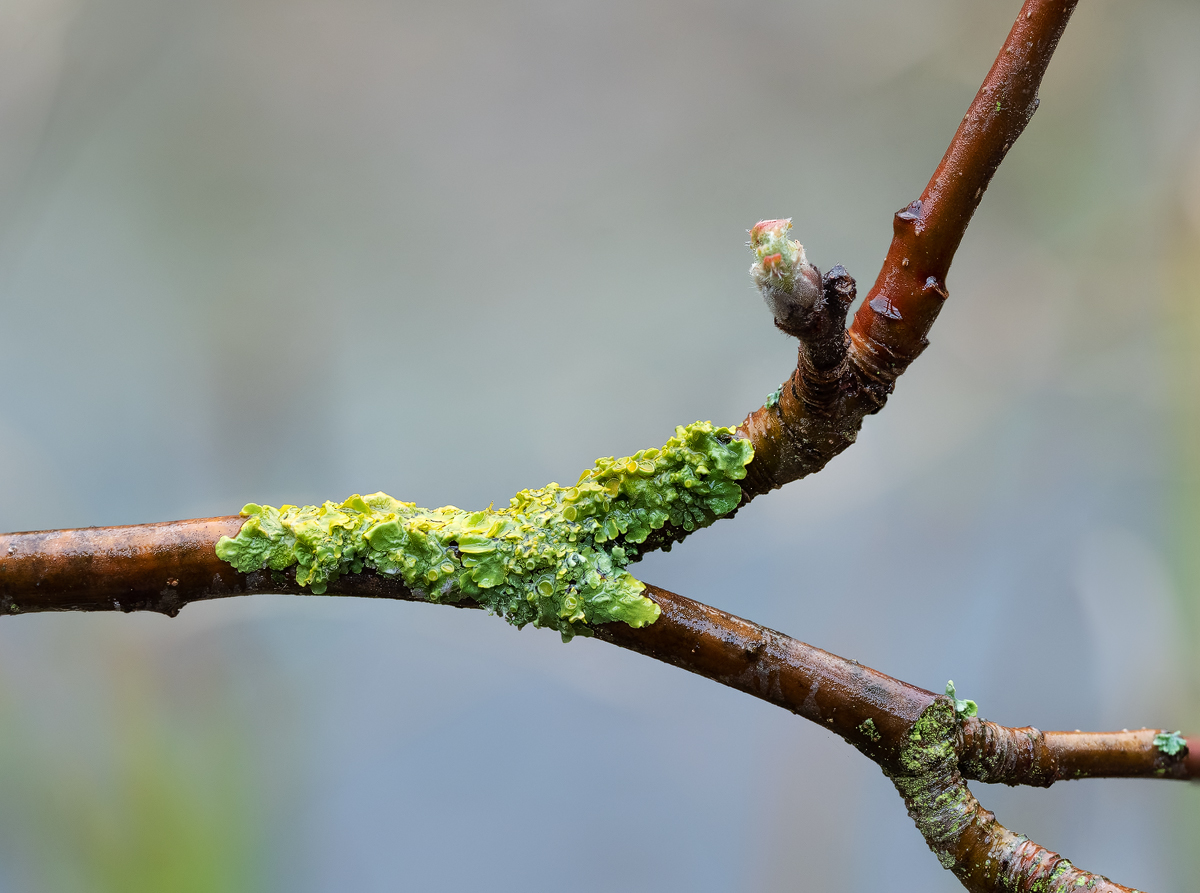 20190314_91-100-PS.jpg