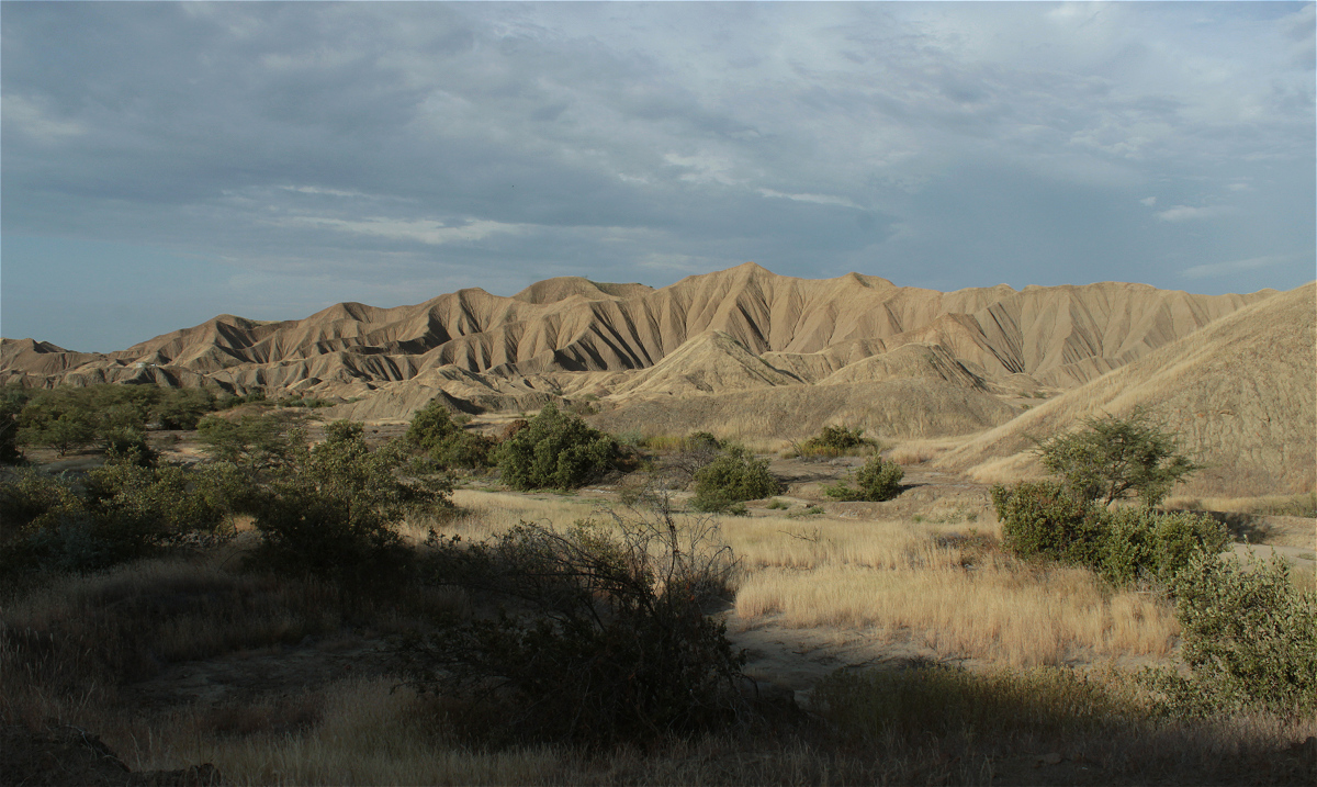 Órganos hills 5184x3097makro.jpg