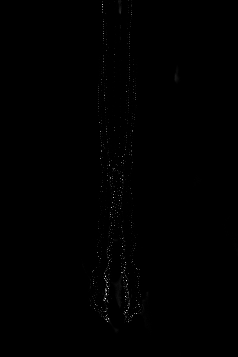 Stack-20190525-081127-001-11-43-SW-corr-compr-1200-800-MFDE-JM.jpg