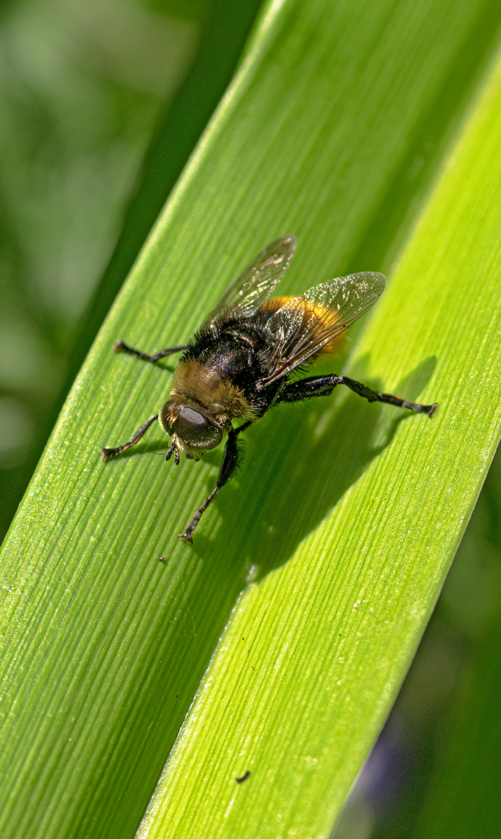 IMG_6826_klein.jpg