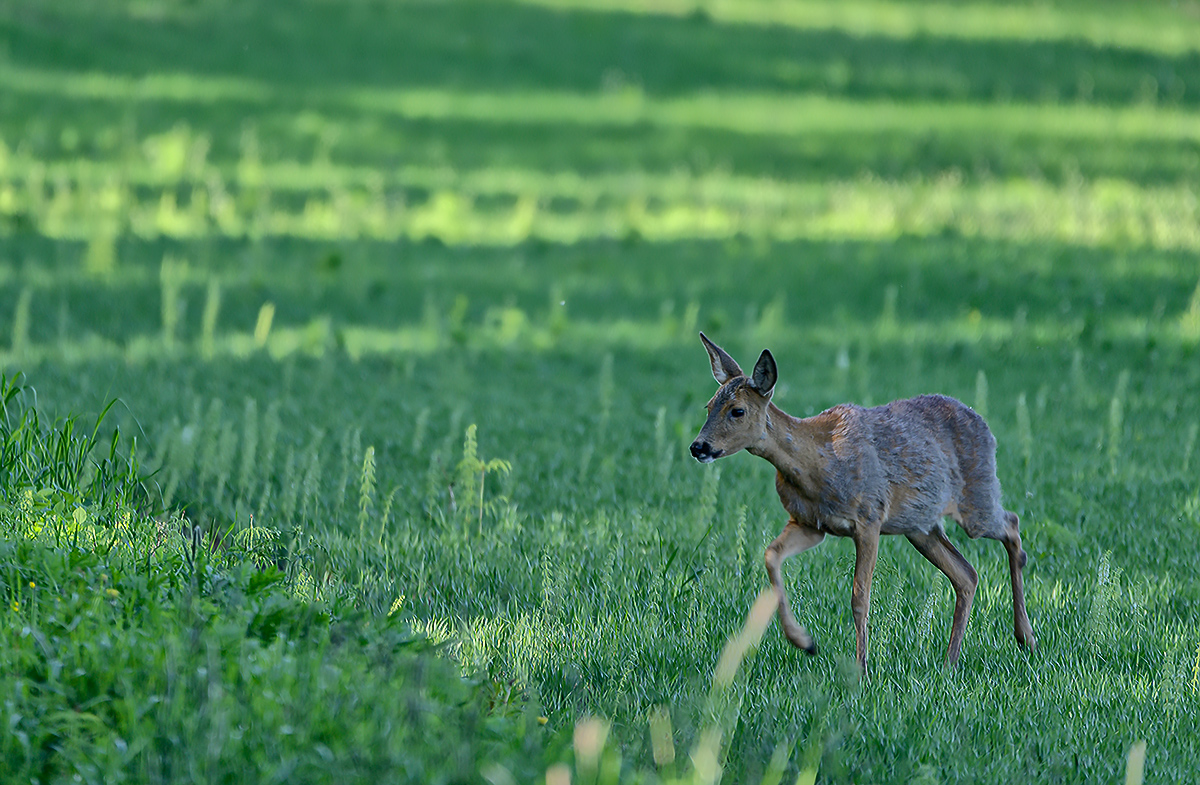 HHK_4137xxx9.jpg