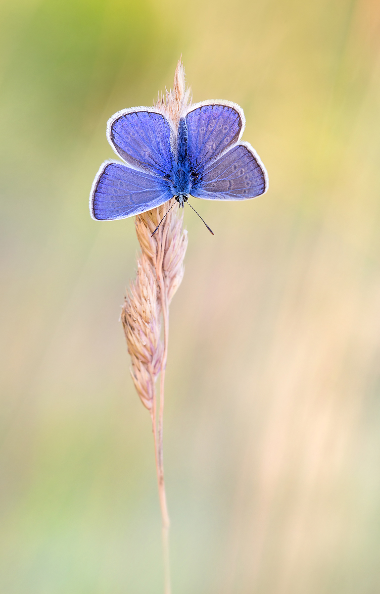 _MG_5667-Bearbeitet1 Kopie.jpg