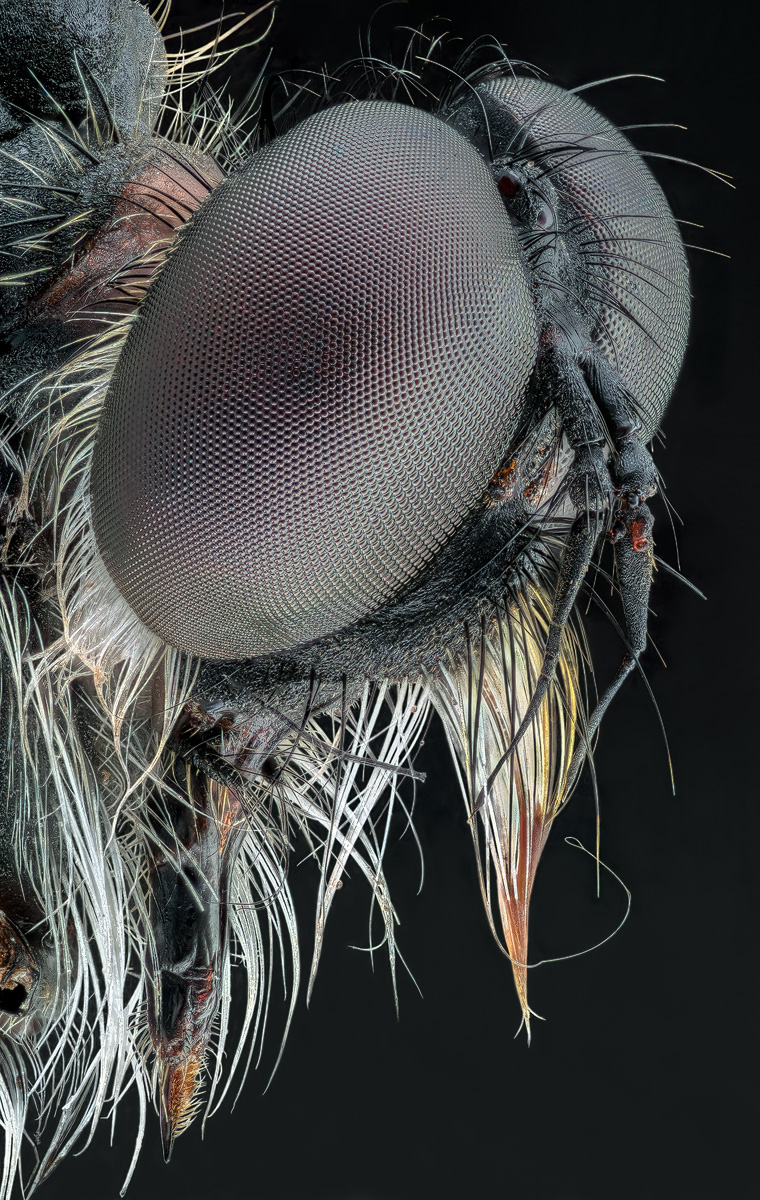 M5_1200px_81prc.jpg