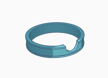 Ring 01.JPG