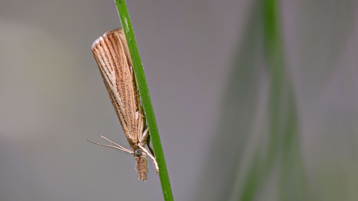 Stack-30-07-2019.jpg
