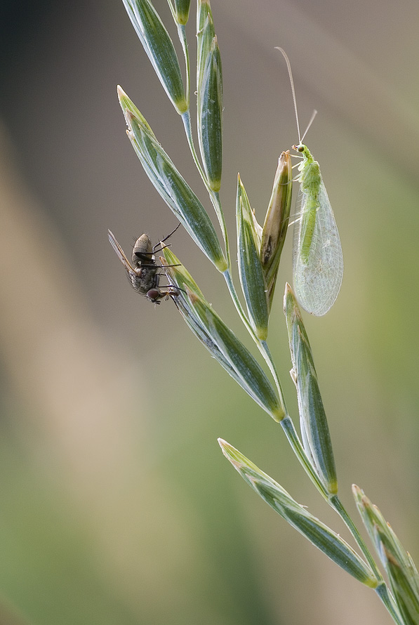 IMG_6162_90 Kopie.jpg