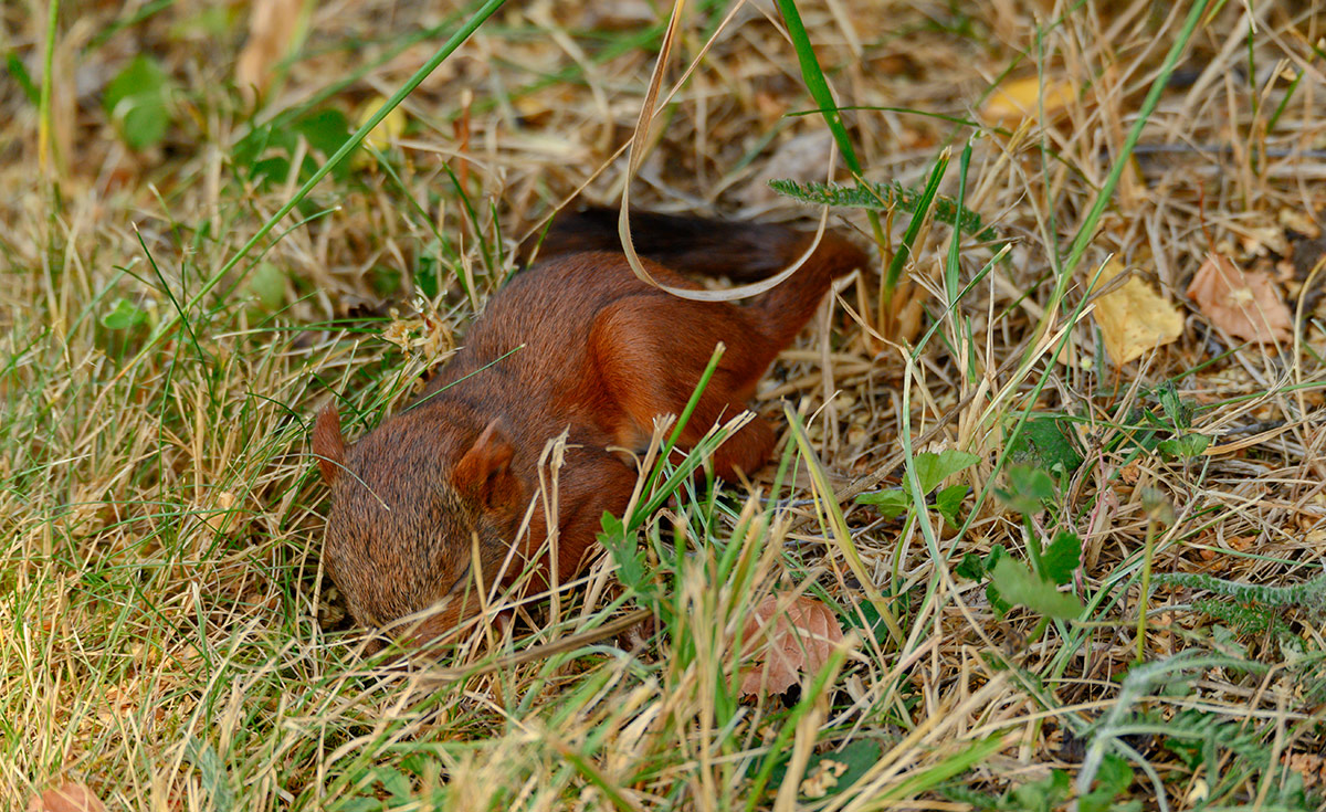 DSC_6808xxx9.jpg