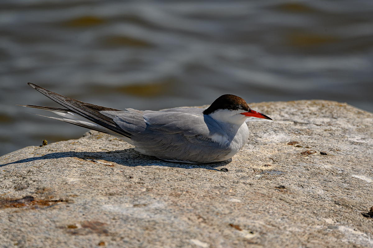 DSC_5682xxx9.jpg