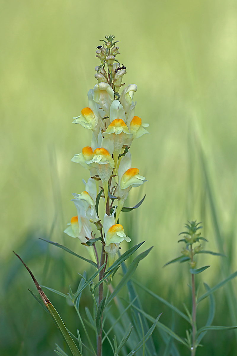 IMG_8314_SHARPEN projects DENOIS projects.jpg