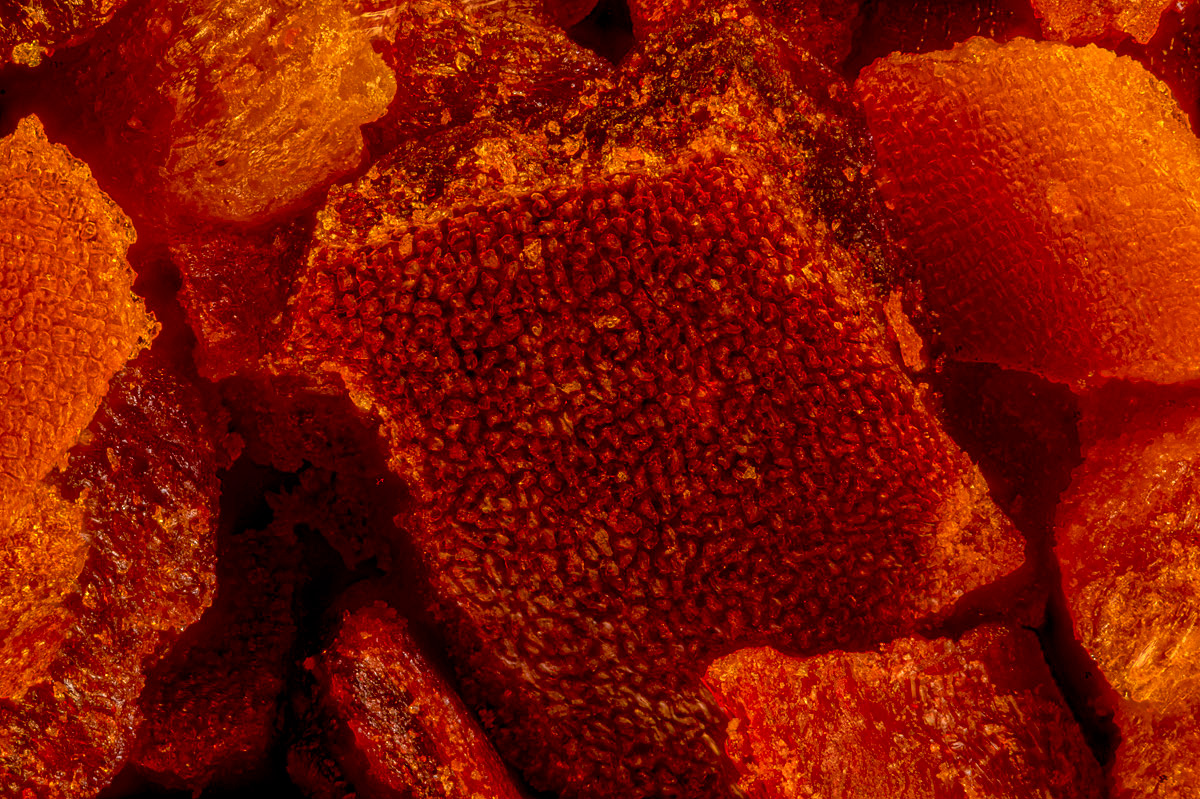 Paprika-1200-2.jpg