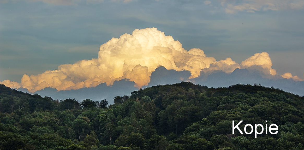 IMG_7762_ Kopie Karin.jpg