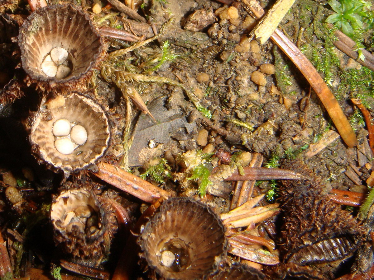 DSC01613_01.JPG