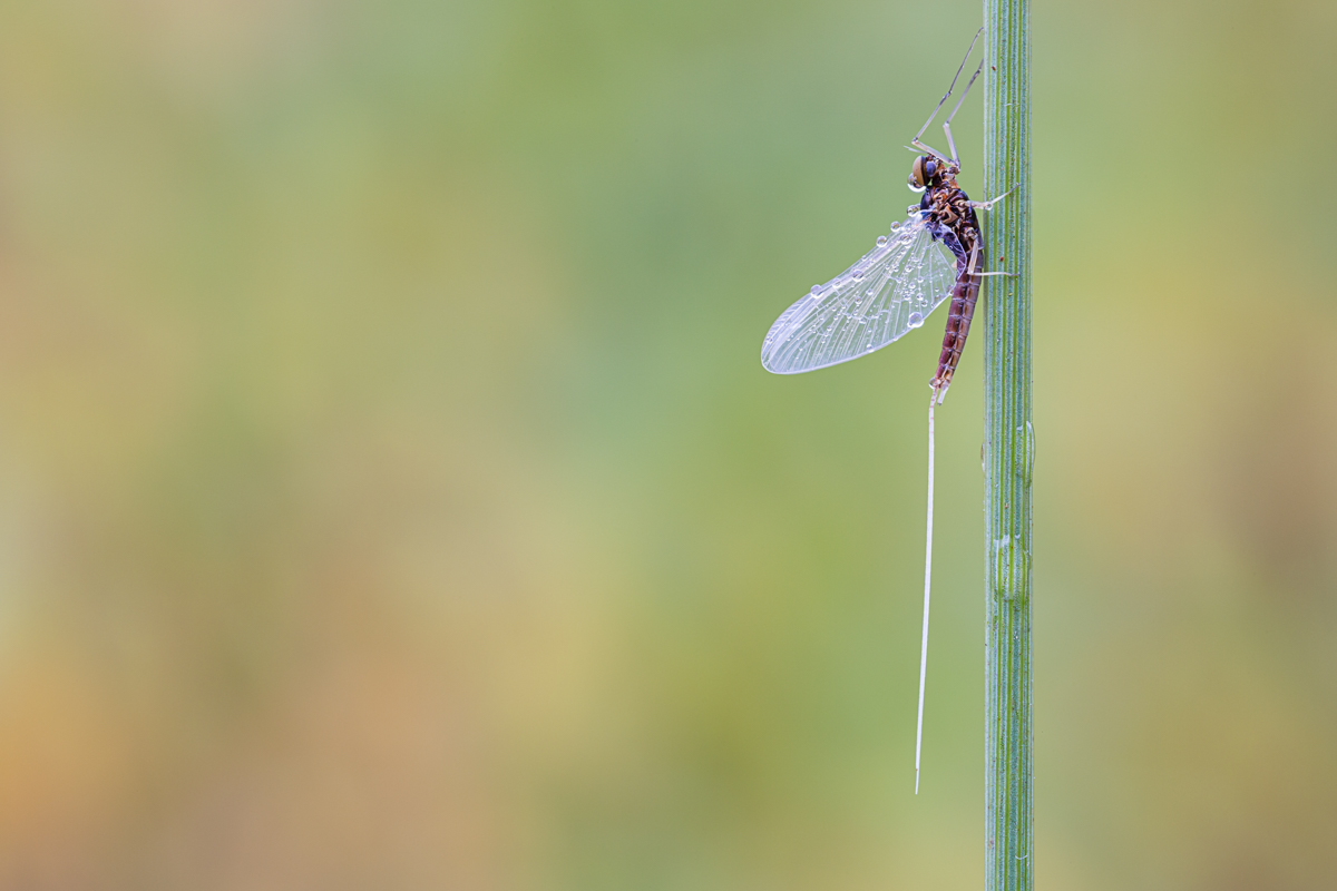 20191006-IMG_3311-b.jpg