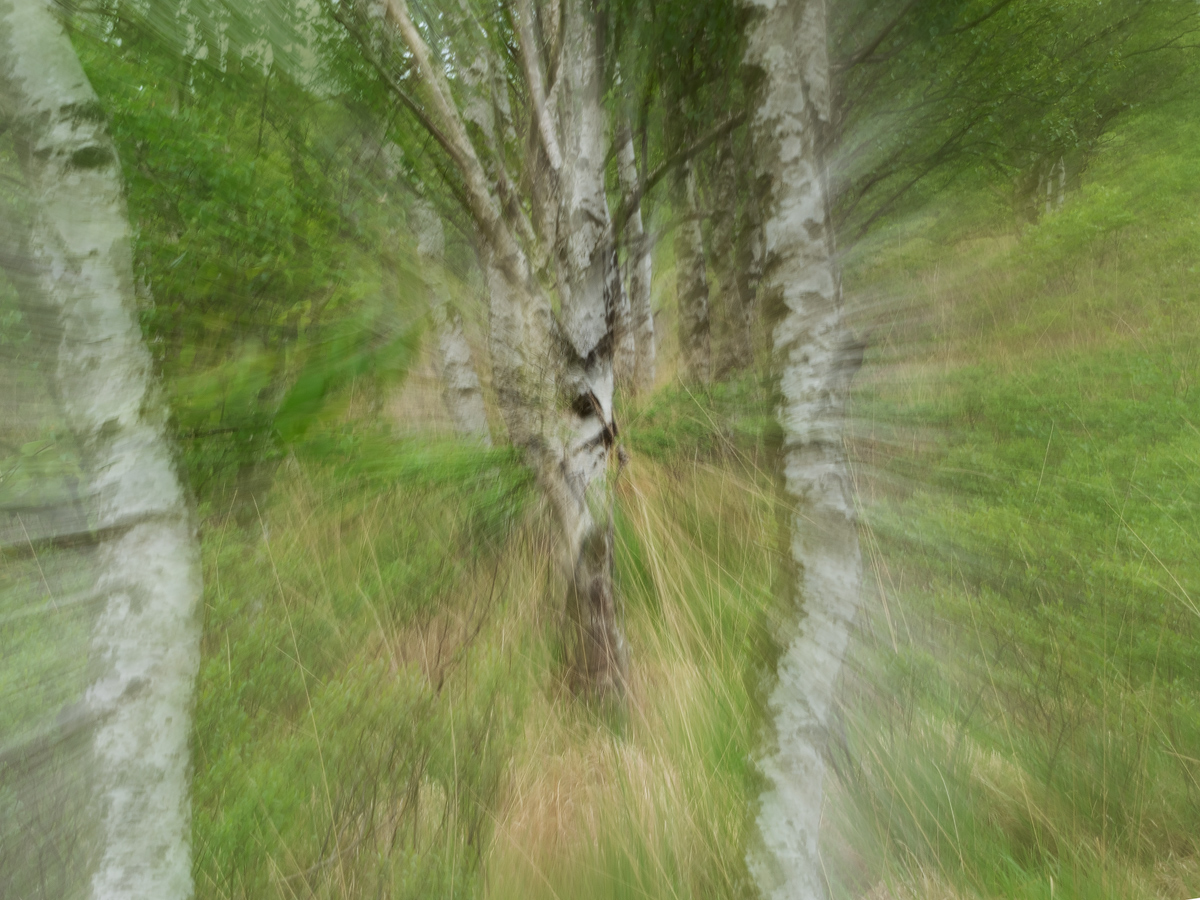 20190527_323---Kopie.jpg