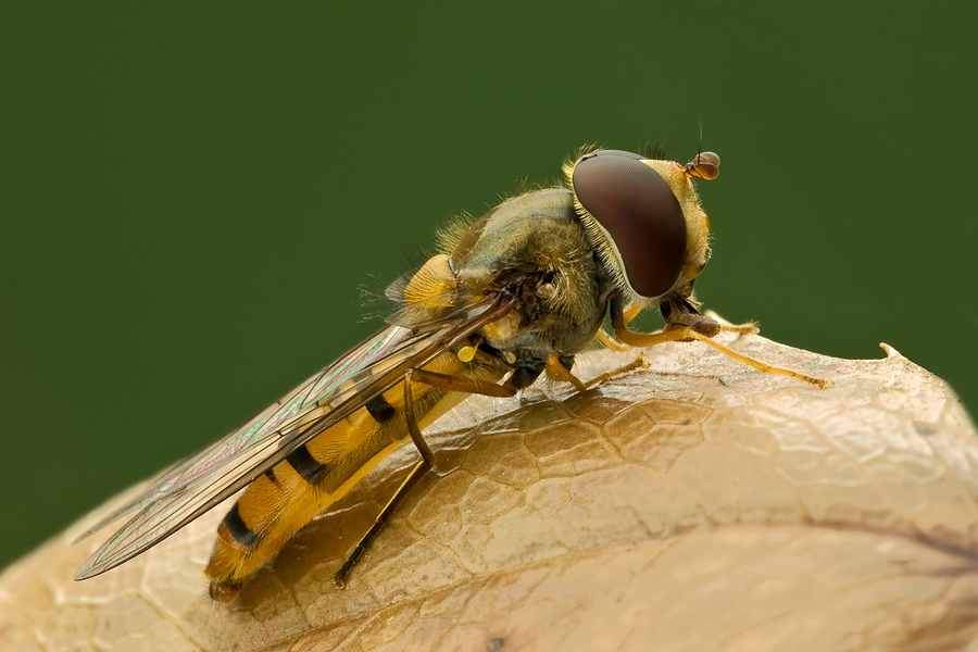 900-F-14-Sec-0,6.jpg