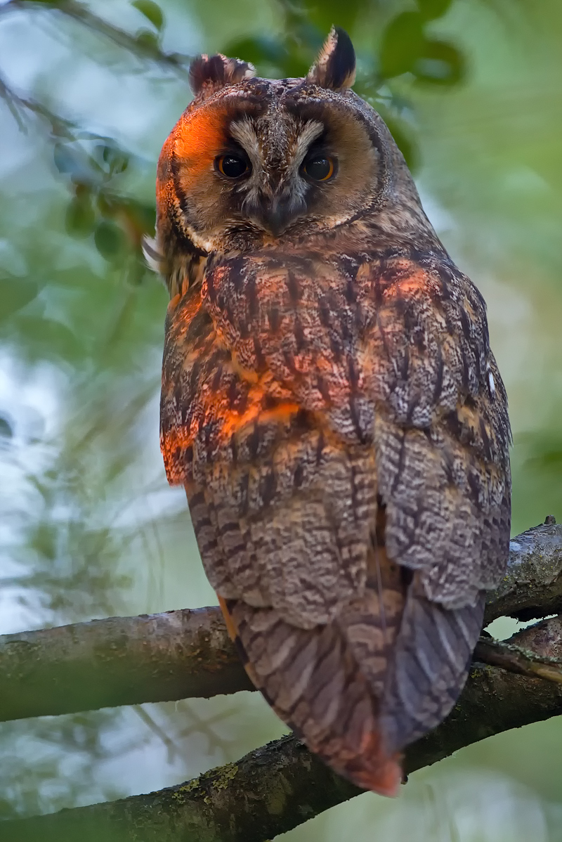 DSC_7660vkcs++++.jpg