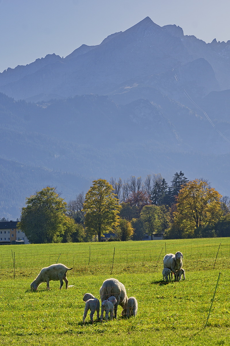 DSC03017 Herbst in den Bergen... kl.jpg