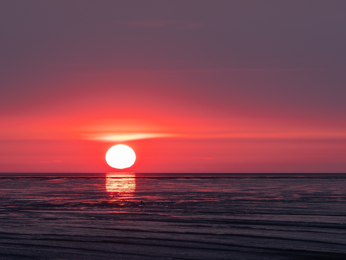 20190523_536---Kopie.jpg