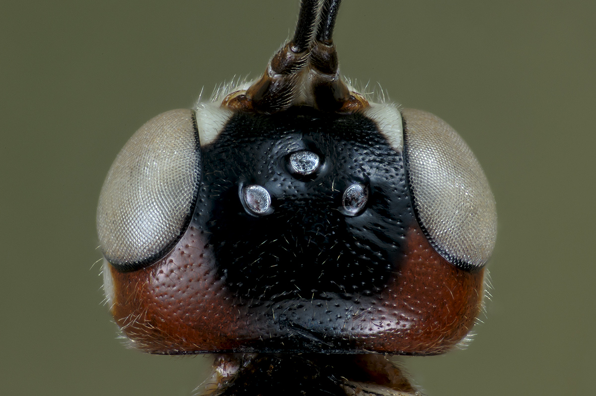 2019-12-22 8x40k.jpg