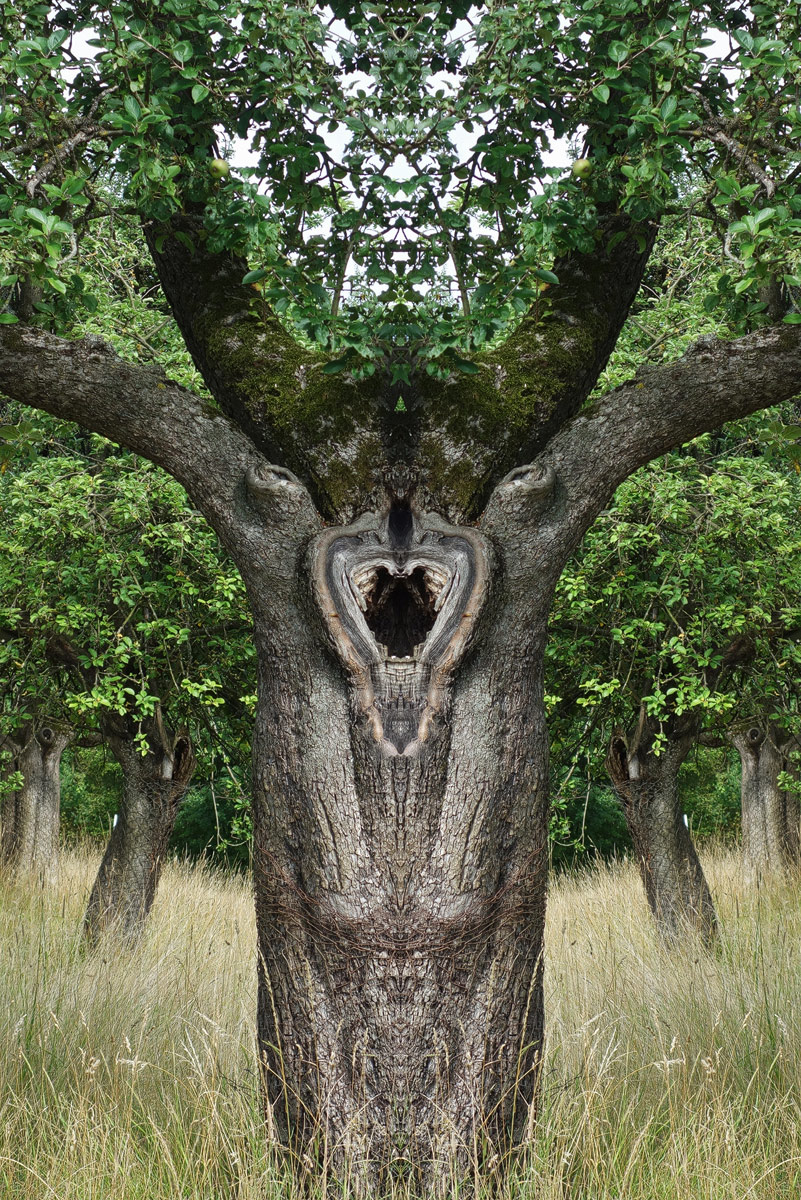 Baum_NS---Kopie.jpg