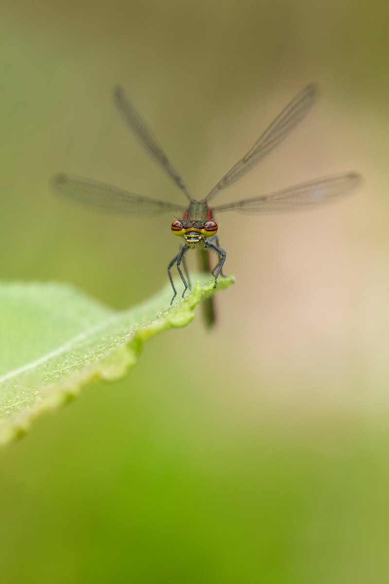 20140428_0049---Kopie.jpg