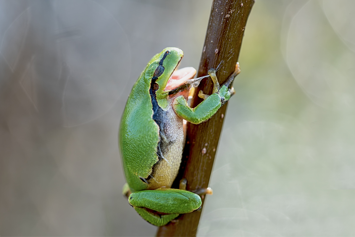 DSC_9762.jpg
