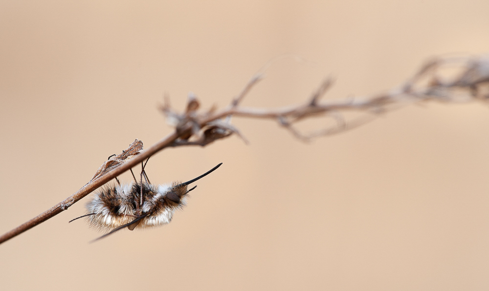 RD7_4373-2.jpg