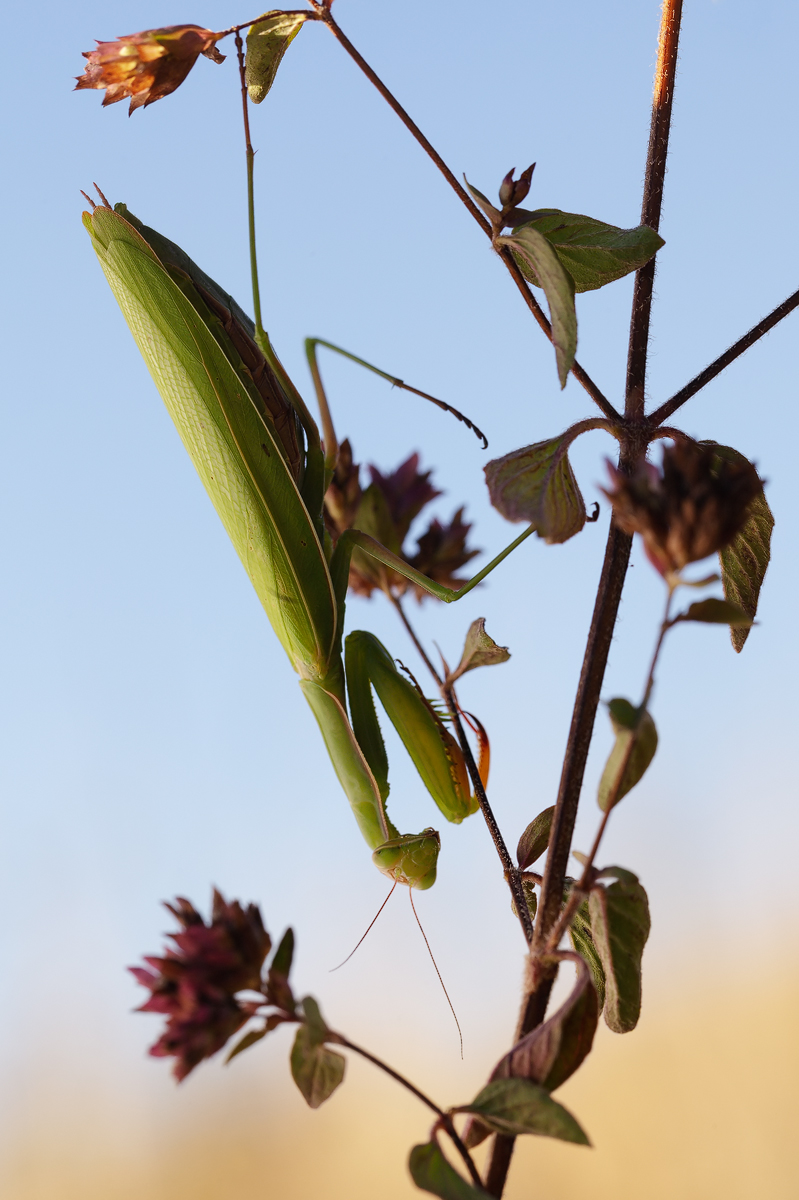 20160907_0285---Kopie.jpg