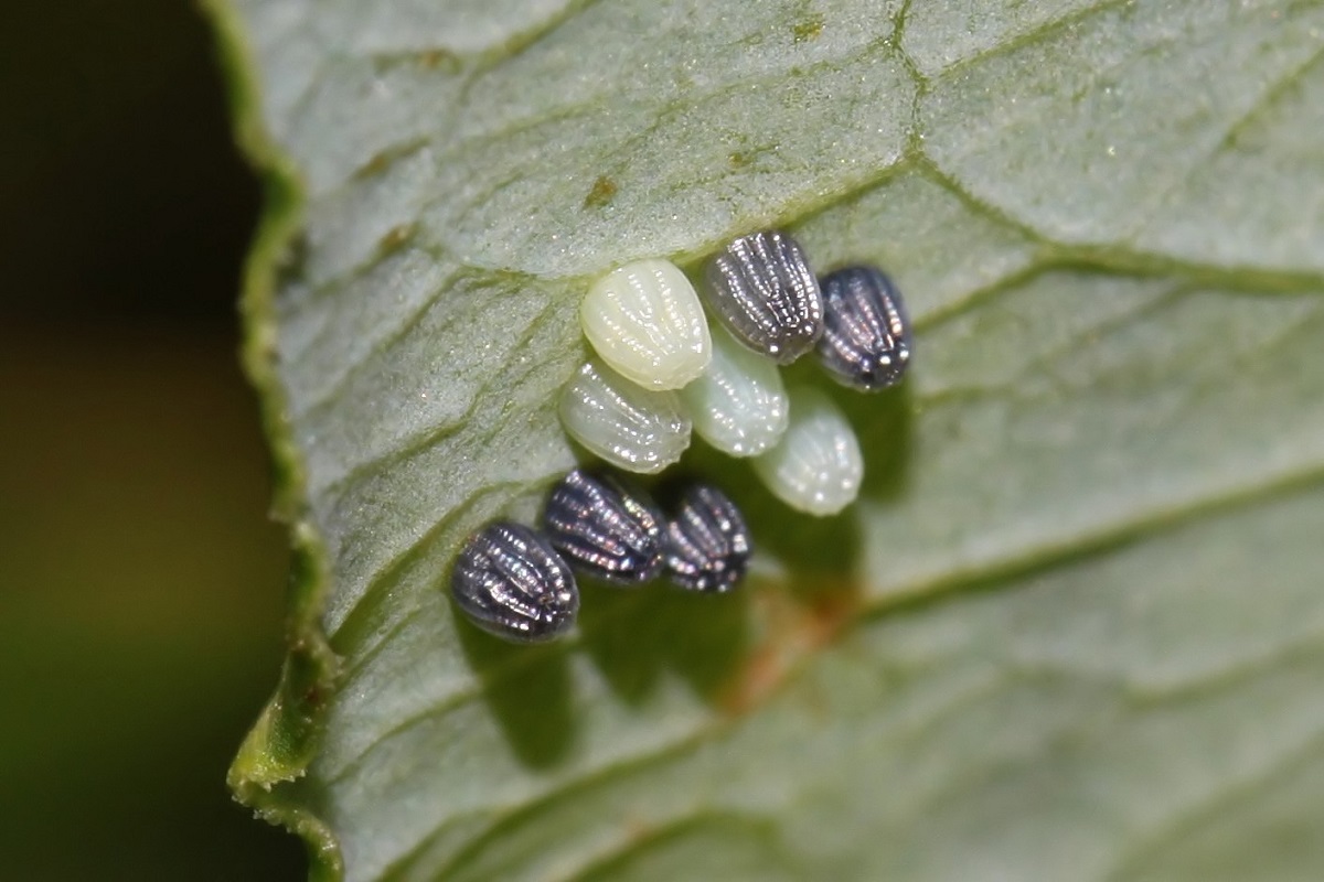 IMG_9902 (2)_filtered.jpg