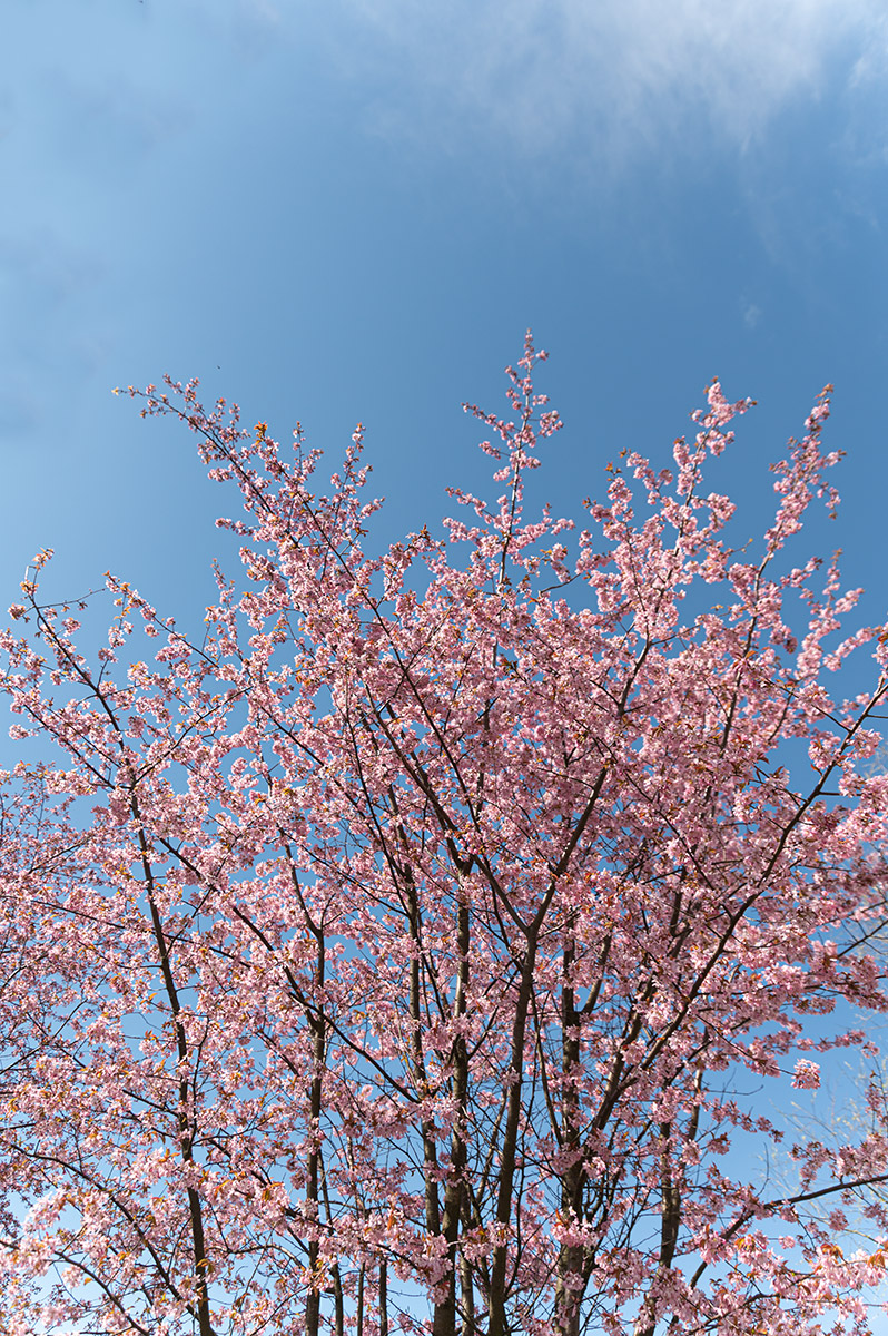 HHK_2401xxx0.jpg