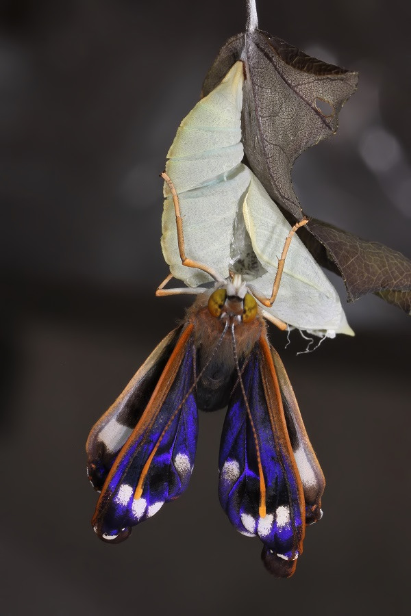 IMG_9700 (2)_edited_filtered.jpg