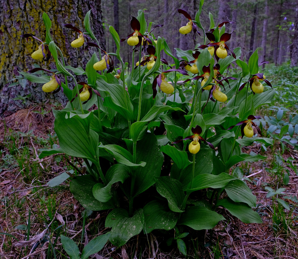 DSCF8871.jpg