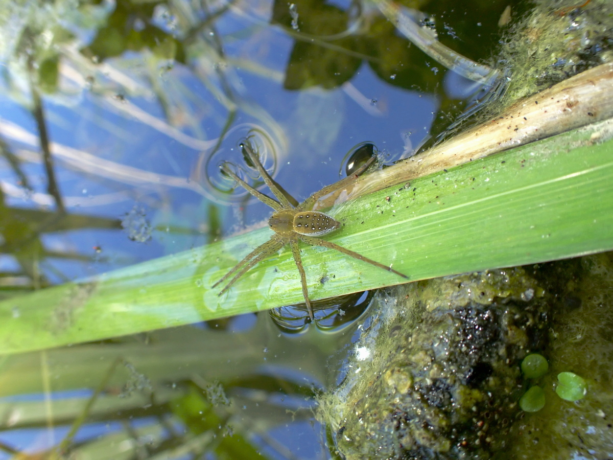 P6253522_filt_small.jpg