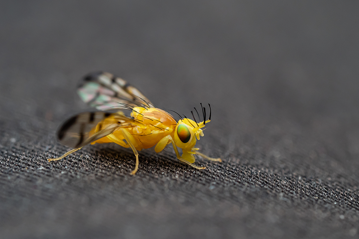 _6270025w.jpg