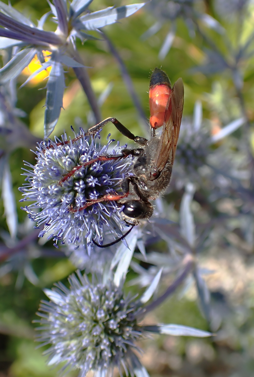 P7043813_filt_small.jpg