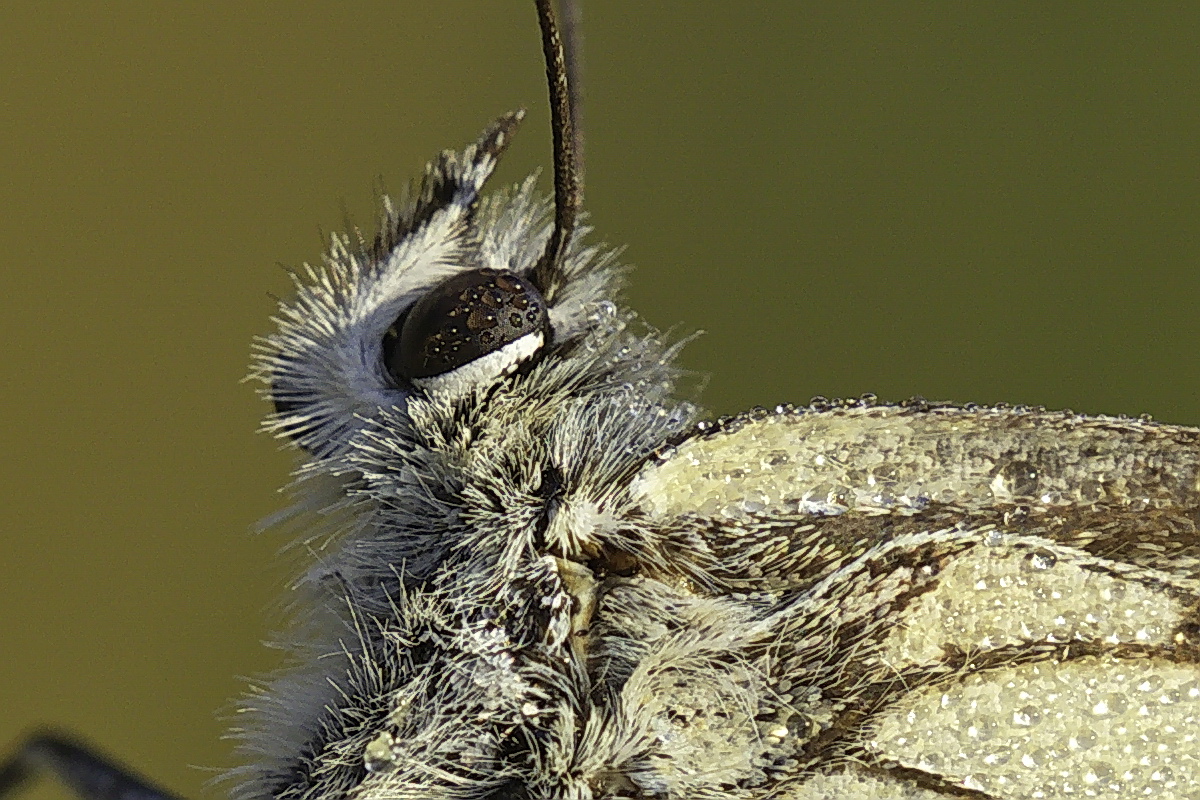 80D48002b00_6.jpg