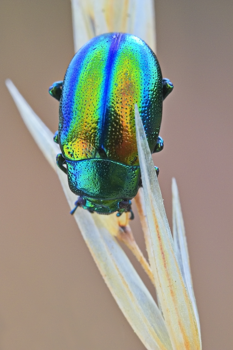 80D4791100.jpg