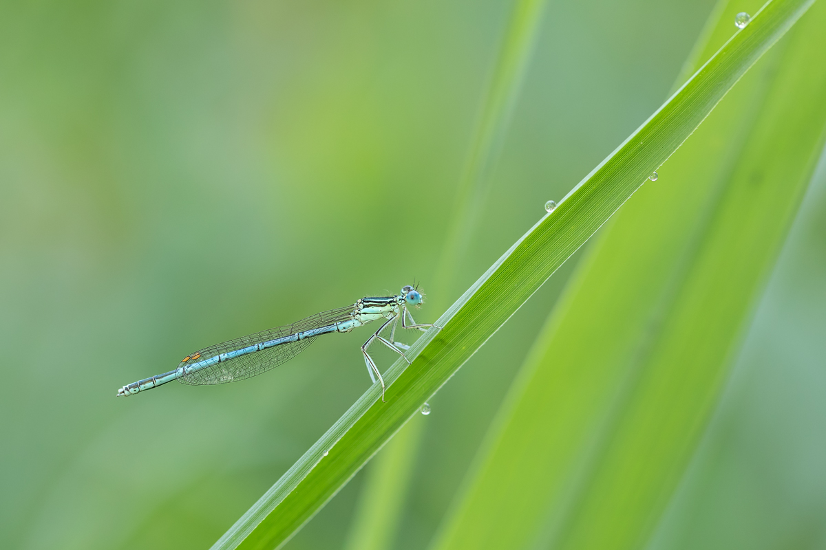 20180605_560---Kopie.jpg