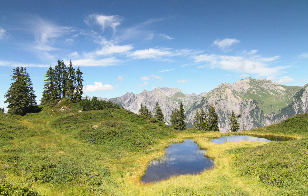 Habitat_alpestris_IMG_3239_1200.jpg